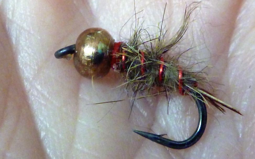 The Irwell Imp - a GRHE variant tied with red wire - always sorts out the better fish