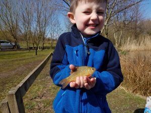 Tommy caught a lovely little crucian carp at Sycamore Fishery