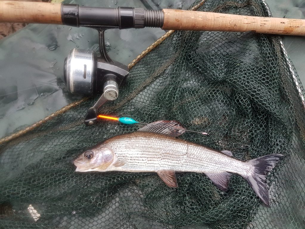 Using A Pole Float For Trotting The River