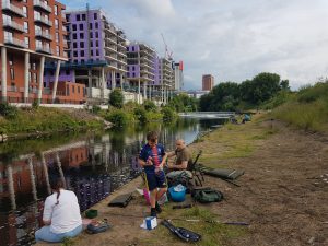 Wonky Swims Adelphi