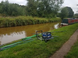 Shropshire Union Roach