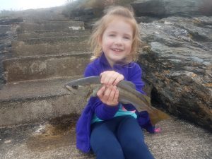 Flag Pole Steps Trearddur Bay