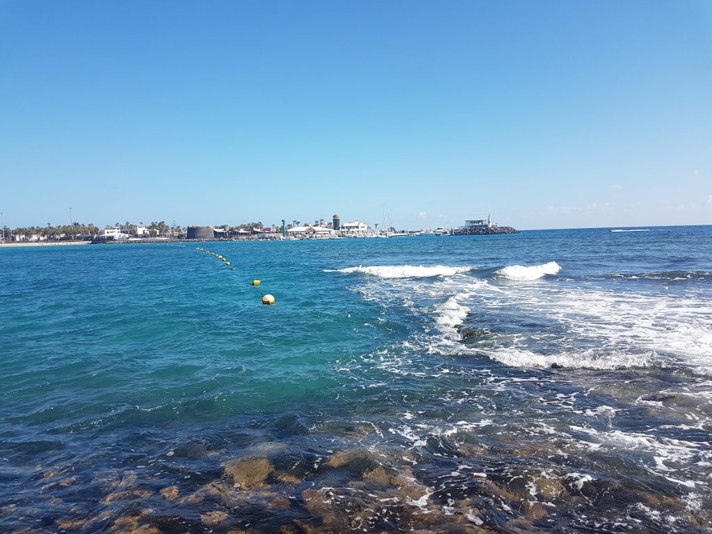 Fishing Fuerteventura Again