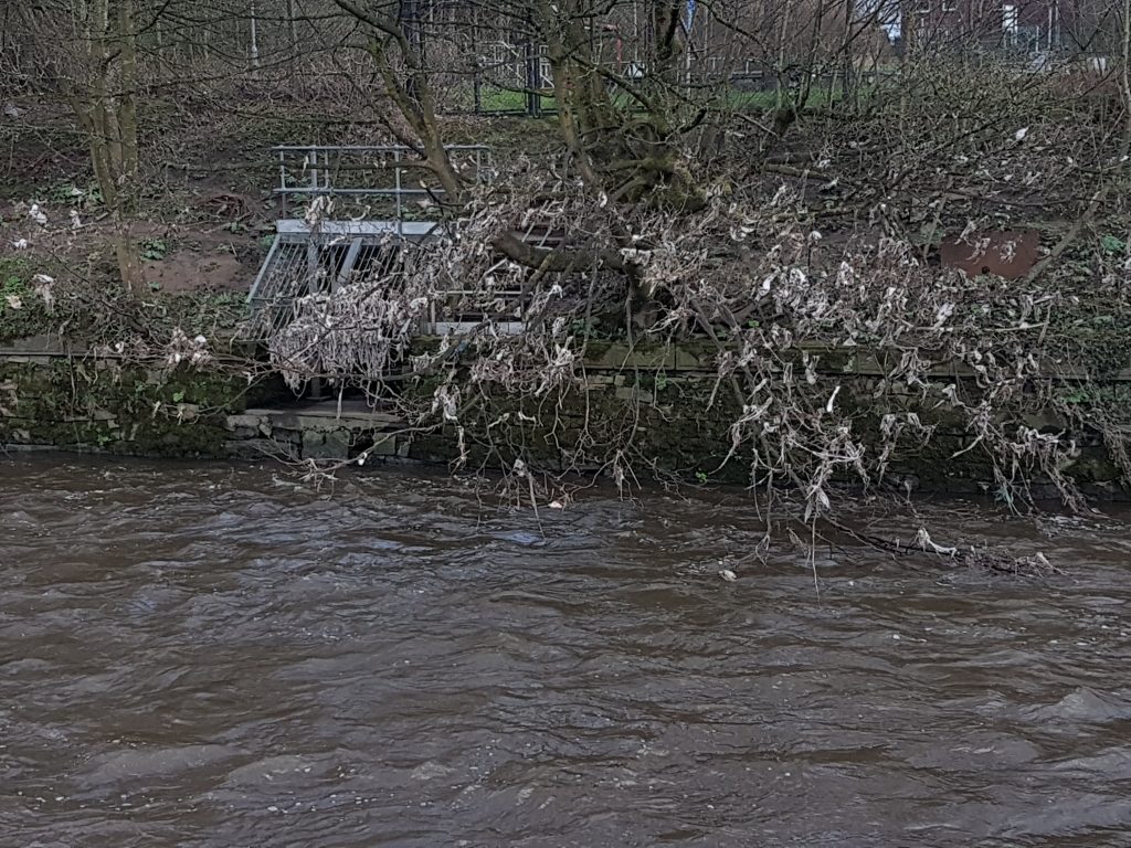 A Sewage Outfall plus wet wipe tree