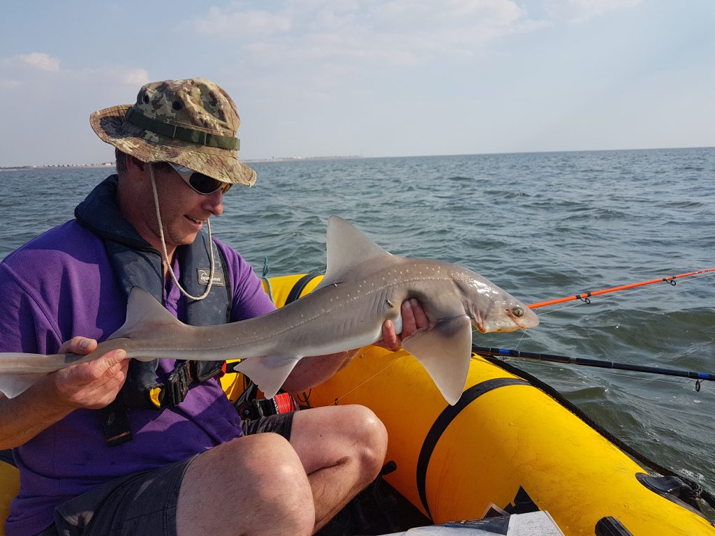 Andy with an 8lb Smooth Hound