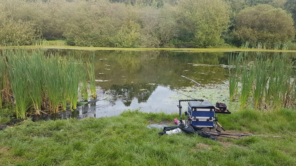 Fishing Drinkwater Park Lake